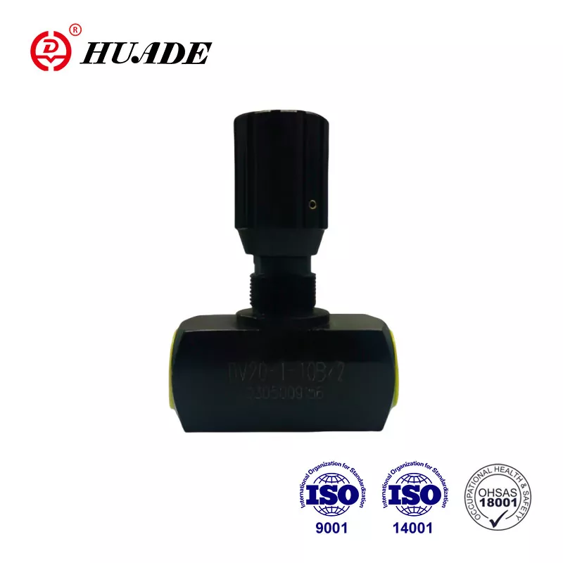 Throttle Valve DV